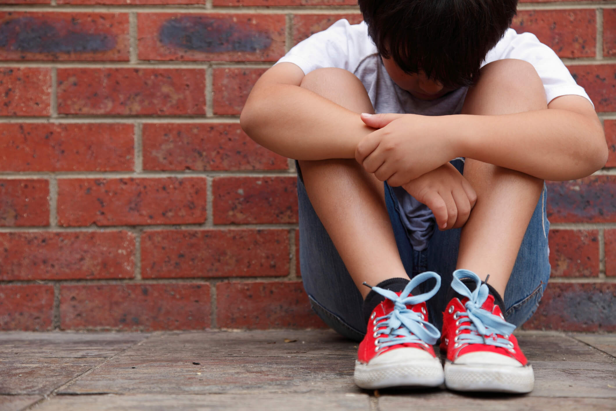 A Construção Social do Bullying e seus Desdobramentos na Sociedade